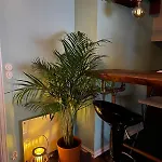 Cozy In Center Apartament *