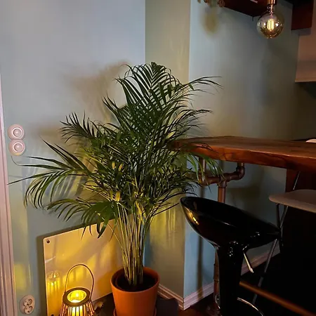 Cozy In Center Διαμέρισμα *
